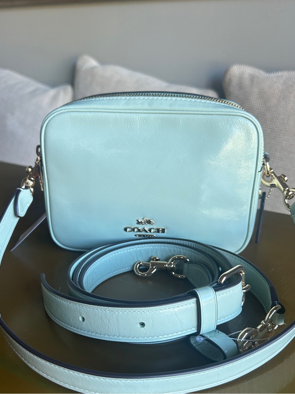 NWT Coach Mini Carey Crossbody Bag Gold/Light Pistachio